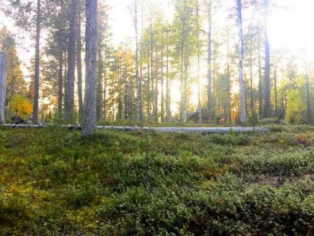 Дома для отпуска Holiday Home Tunturihuhta 2 Юллясярви-28