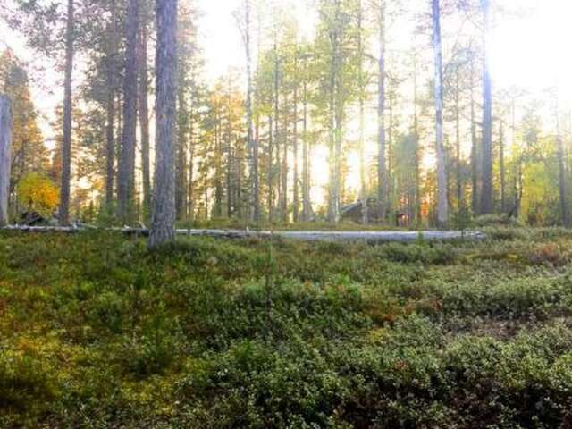 Дома для отпуска Holiday Home Tunturihuhta 2 Юллясярви-48